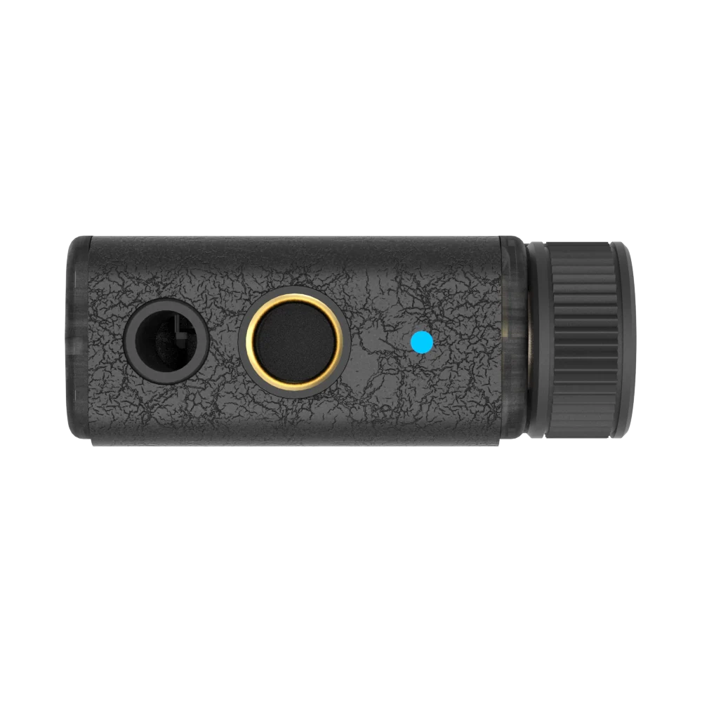 iFi Audio GO blu Air