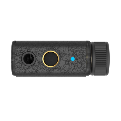 iFi Audio GO blu  Air