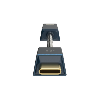 iFi Audio GO link 2 Max