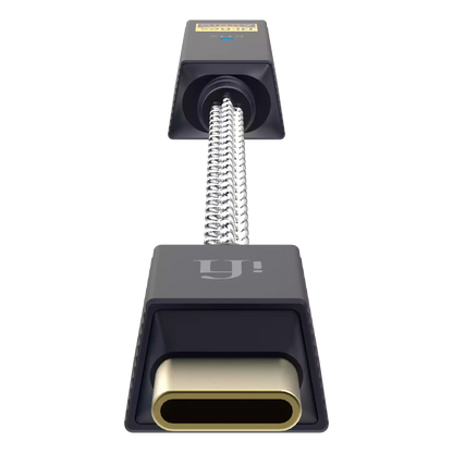iFi Audio GO link 2